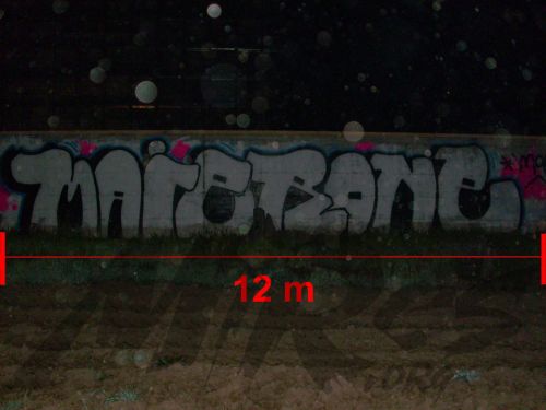 MAIER: 12 METRI